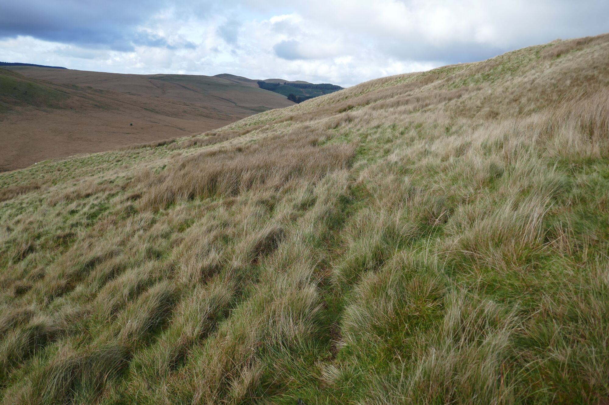 RachelSeabrook.net | Wild Walking | Cwm Hengwm | pic24